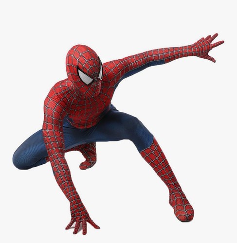 Men small spider man - men’s,