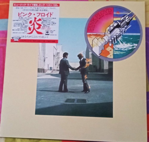 Pink floyd wish you - floyd,