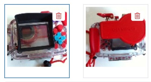 Custodia subacquea olympus - subacquea,