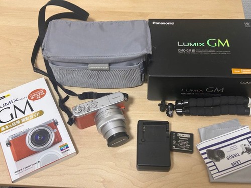 Panasonic lumix dmc gm1k - panasonic,