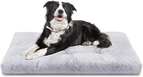 Letto per cani - letto,