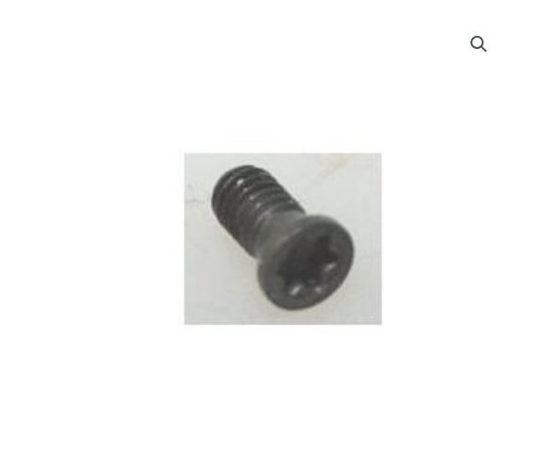 Vite torx svizzera ricambio - vite,