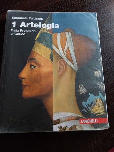 Libri scolastici usati - libri,