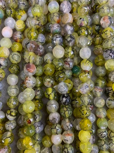 120 pezzi puro drago naturale