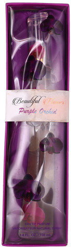 Purple orchid beautiful - purple,