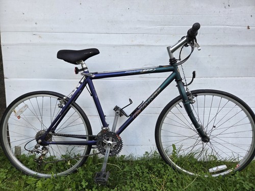 Bici ibrida vintage gigante