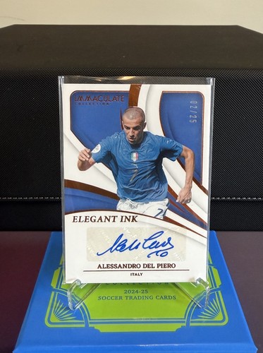 Panini immacolata collezione - panini,