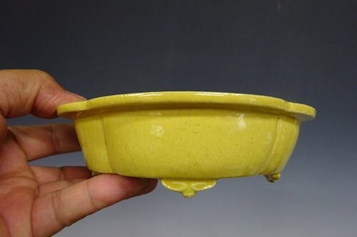 Vaso per bonsai giapponese