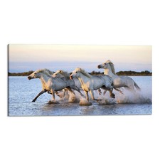Quadro Stampa su Tela con