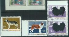 83889 - BULGARIA - FRANCOBOLLO - FRANCOBOLLI USATI con un lato ND IMPERFETTI!! RARO! Cani