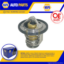 Termostato liquido di