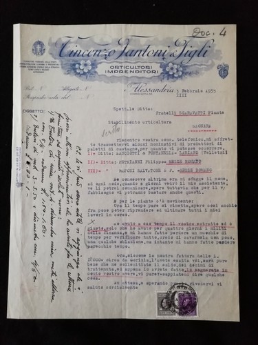 Carta intestata alessandria - intestata,