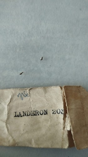 New pcs landeron 203 - 2,