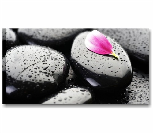 Petalo zen quadro 90x45 stampa - petalo,