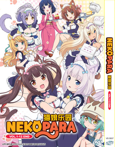 Dvd anime nekopara - anime, tv