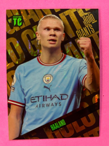 Panini card top class - panini,