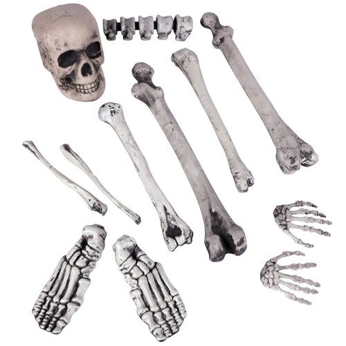 Halloween decorazione - halloween,