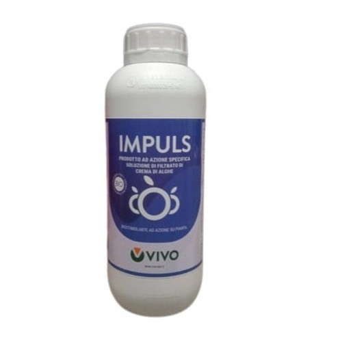 Impuls radicante sviluppo - impuls,
