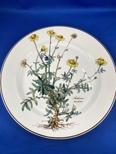 Villeroy & Boch, piatto