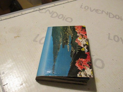 Vintage souvenir photo - souvenir,