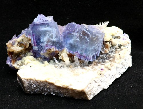 Fantasma blu naturale