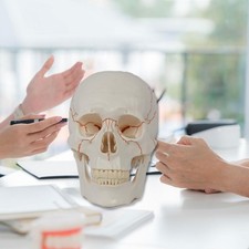 Accessori per modelli di