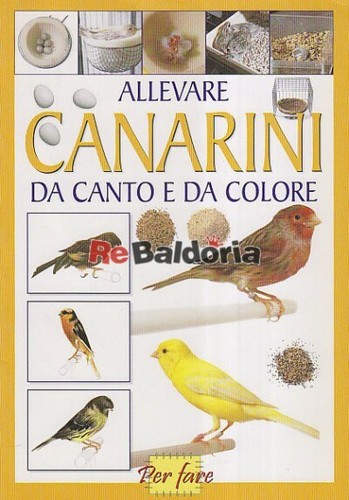 Allevare canarini canto - canarini,
