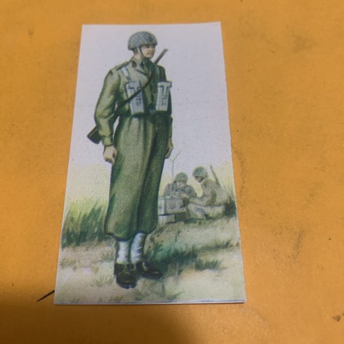 185 guerrieri antichi e - guerrieri,