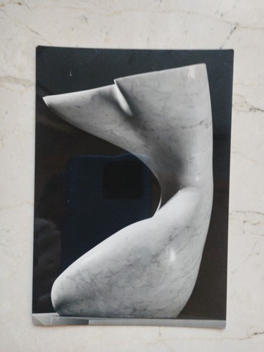 Venezia galleria arte - ,