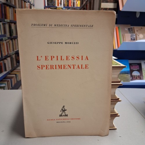 Epilessia sperimentale - l'epilessia,