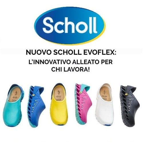 Scholl clog evoflex - dr,