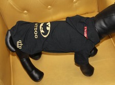 4477_Angeldog_Abbigliamento