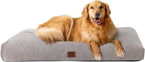 Cuccia cane interno - cane,
