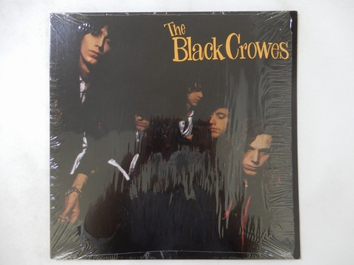The black crowes shake your - crowes, ~