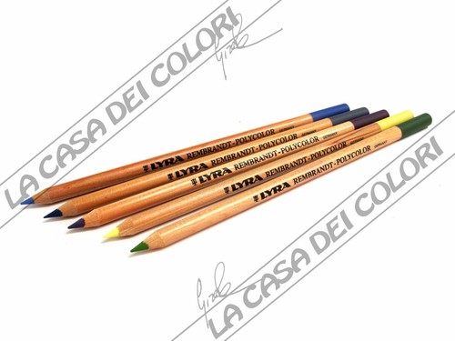 Lyra rembrandt polycolor - polycolor,
