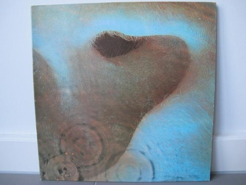 Pink floyd meddle shvl - pink, (shvl