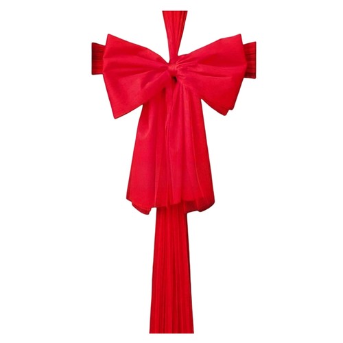 Fiocco organza rosso - organza,