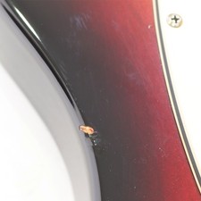 Fender American Standard