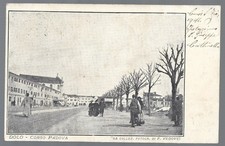 DOLO  CORSO PADOVA VIAGGIATA 1901