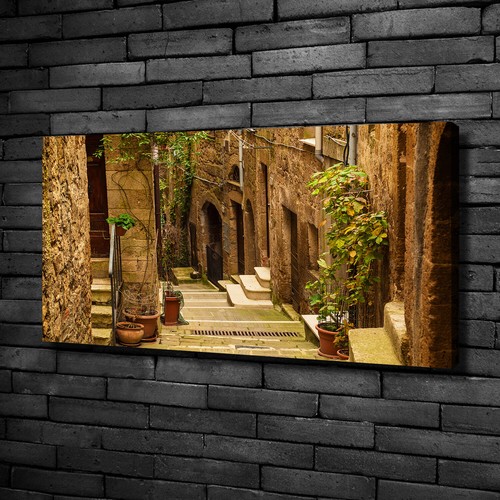 Stampa tela tulup wall art - stampa,
