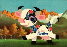 Mucca Carolina Invernizzi Gim