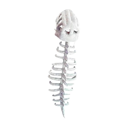 Costume squelette de - costume,