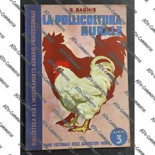 La Pollicoltura Rurale I -