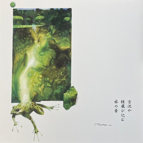 Sergio toppi nello specchio - toppi,