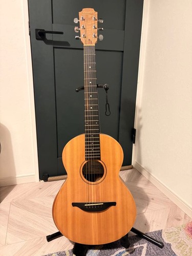 Chitarra elettrica acustica