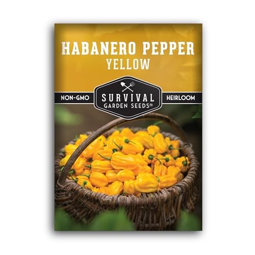 Semi habanero giallo - habanero, per
