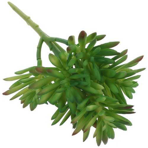 Succulenta artificiale pianta - succulenta,