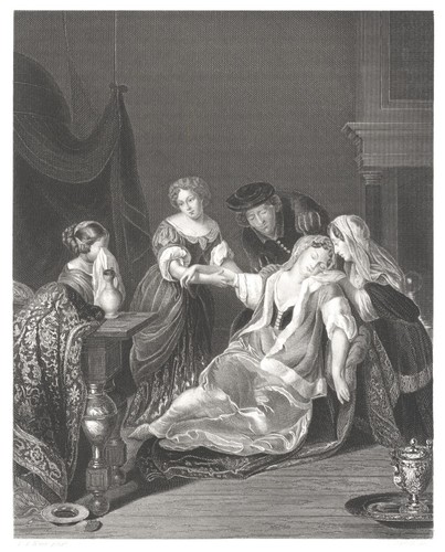 Chirurgo van der - il,