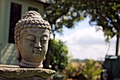Nuovo testa di - testa, buddha