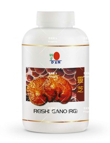 Reishi ganoderma lucidum - reishi/ganoderma,